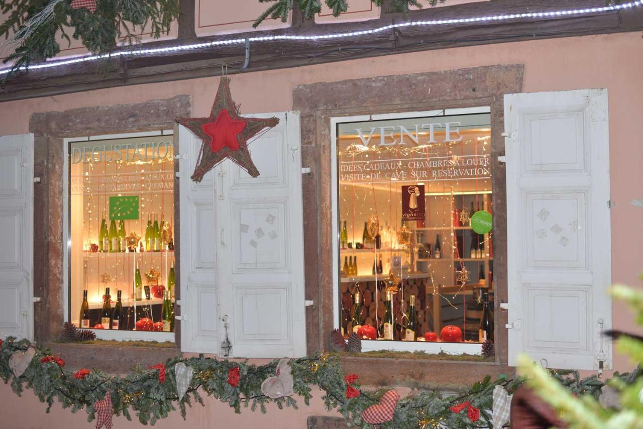 CHEZ MYRIAM Bed&Breakfast studio Parme Colmar Extérieur photo